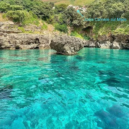 Judia Sul Mare
