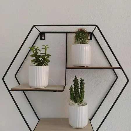 Judia Sul Mare Bed & Breakfast